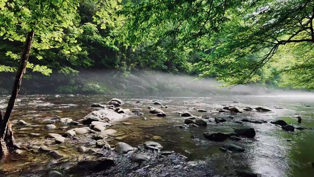 Covenant Health Park in downtown Knoxville, home of the Knoxville Smokies baseball team