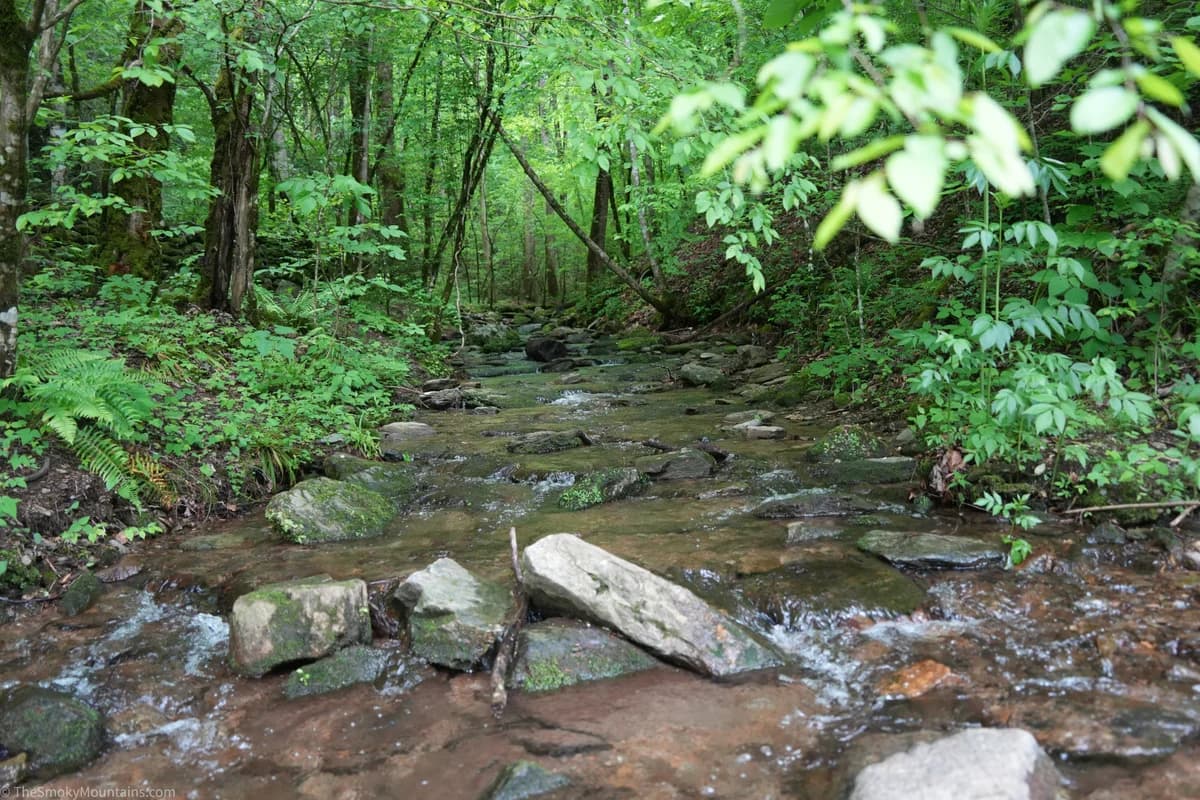 Smoky Mountains attraction backdrop
