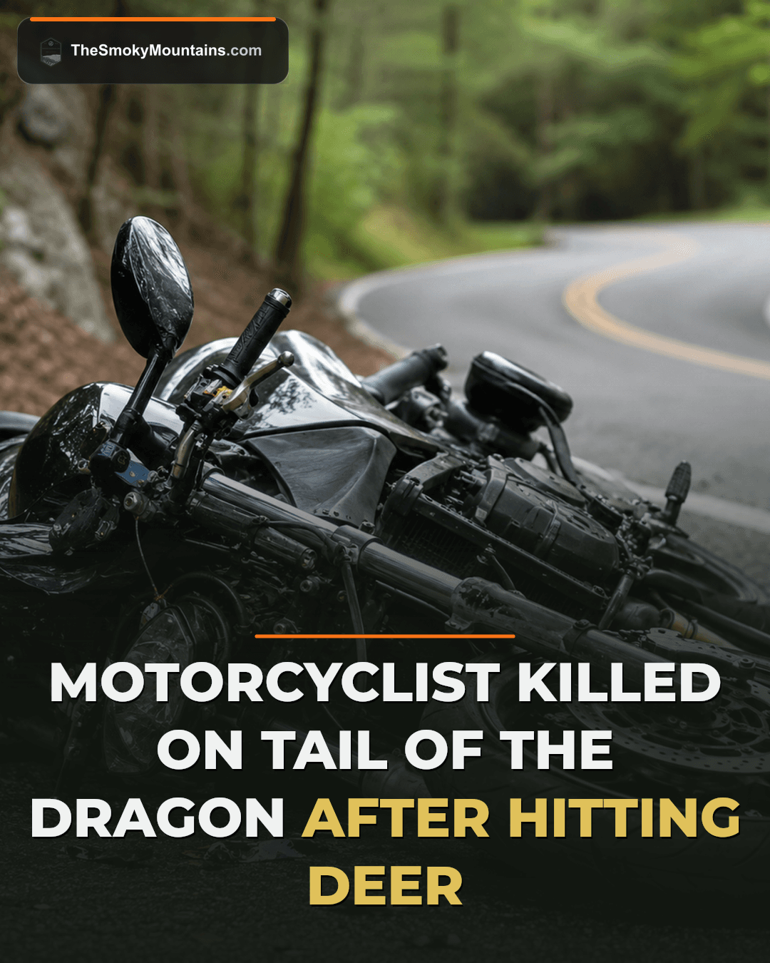 Fatal Collision on Tail of the Dragon Highlights Ongoing Safety Concerns news image