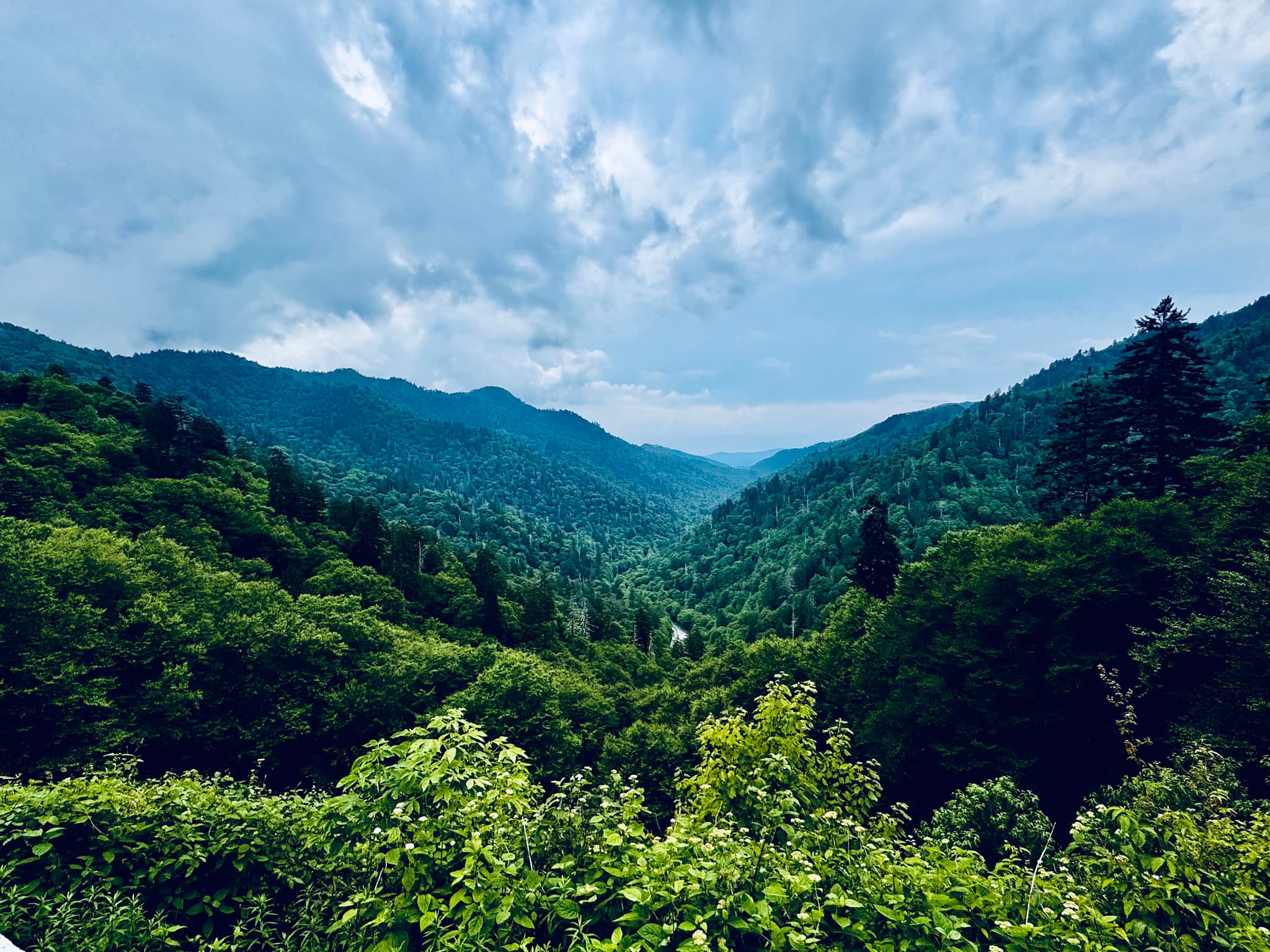 Ben Morton Overlook