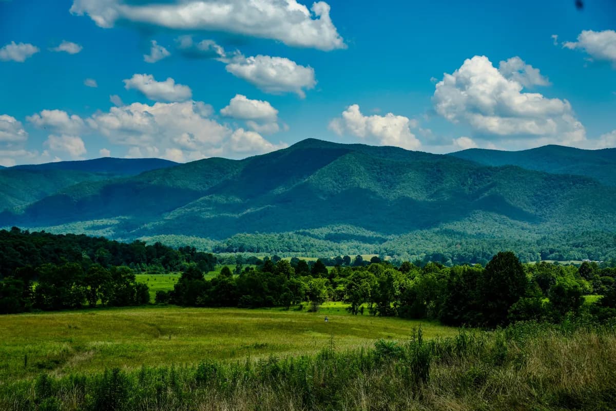 Open meadow and mountain ridgeline in Cades Cove on a summer day, Great Smoky Mountains National Park