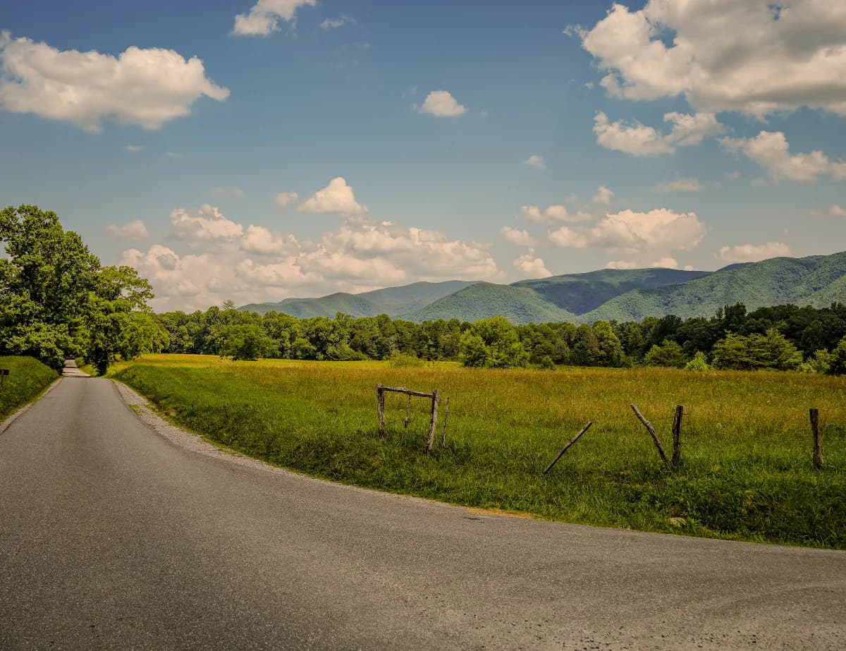 The Cades Cove Loop Road winding through open meadow, Great Smoky Mountains National Park