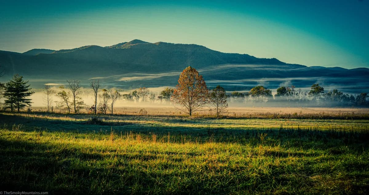 Sunrise fog rising over the meadow at Cades Cove, Great Smoky Mountains National Park