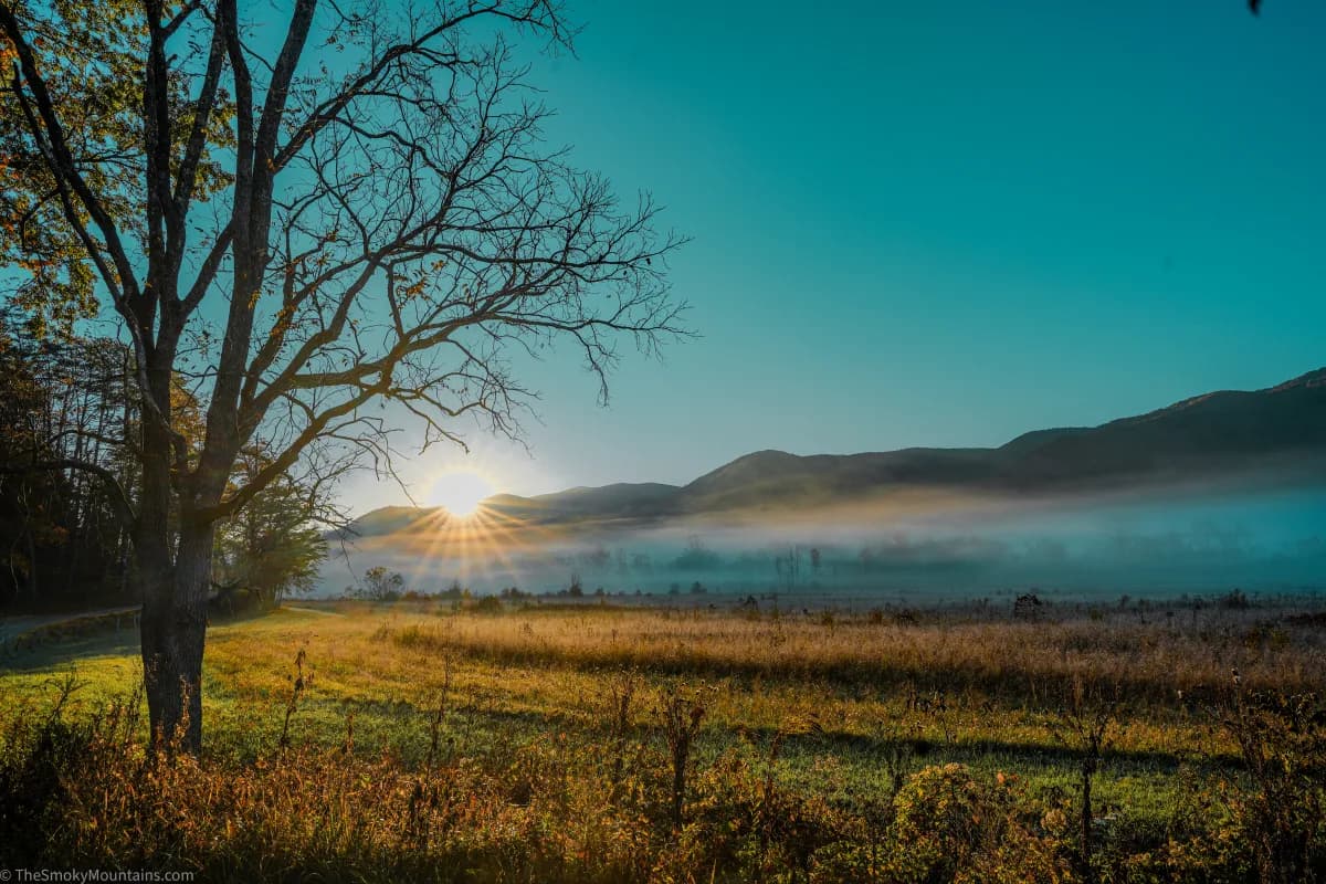Sunrise breaking over the fog-covered meadow at Cades Cove, Great Smoky Mountains National Park