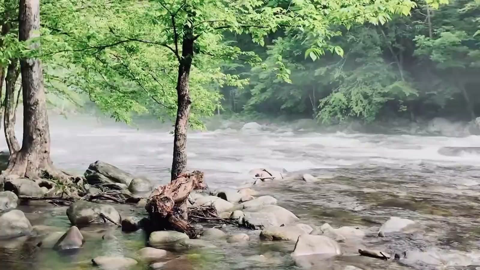 Mist over the Little River near Townsend