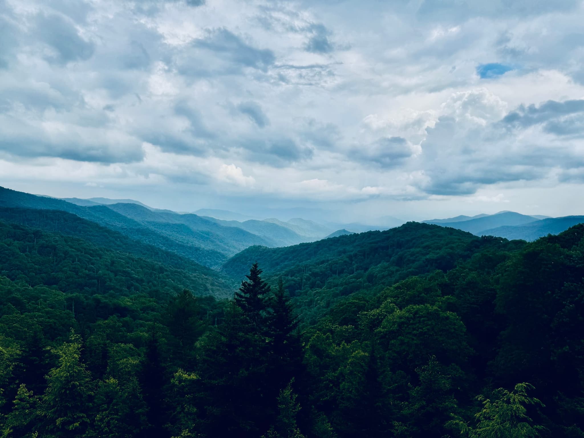 Forested ridges seen from an overlook on Newfound Gap Road