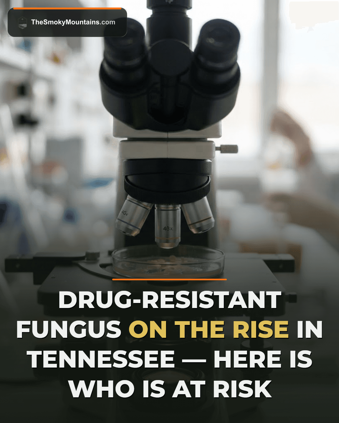 Drug-Resistant Fungus Cases Rise Sharply in Tennessee Healthcare Facilities news image