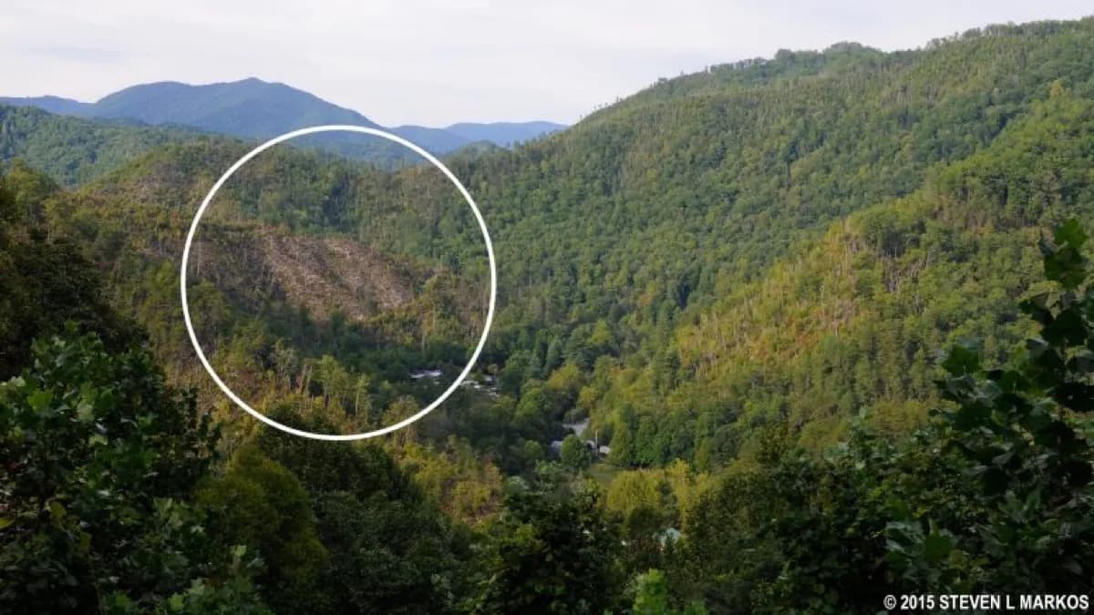 Ballhoot Scar Overlook - Scenic spot in Cherokee, Tennessee