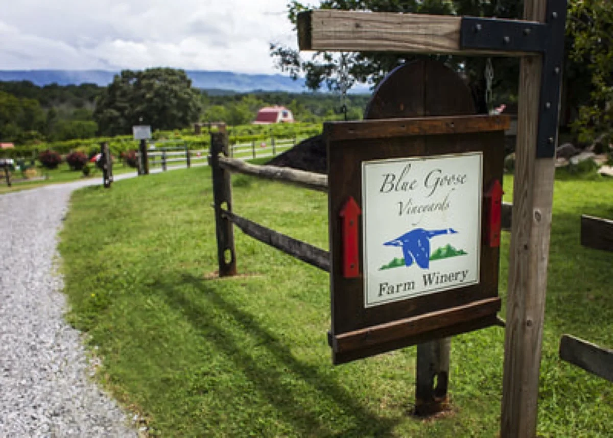 Blue Goose Vineyards - Winery in Maryville, Tennessee