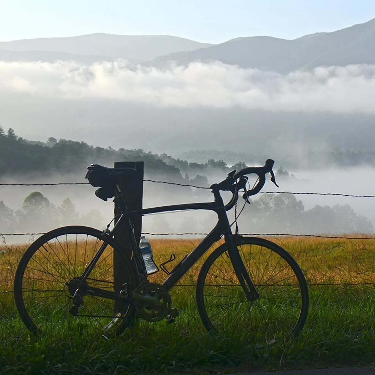 Blue Ridge Parkway - Tourist attraction in Cherokee, Tennessee