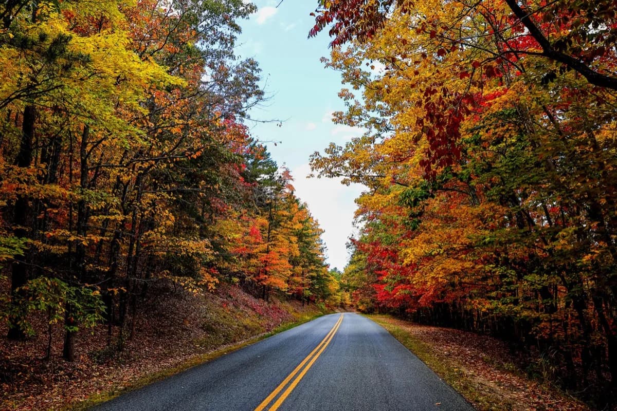 Blue Ridge Parkway - South End - Scenic spot in Cherokee, Tennessee