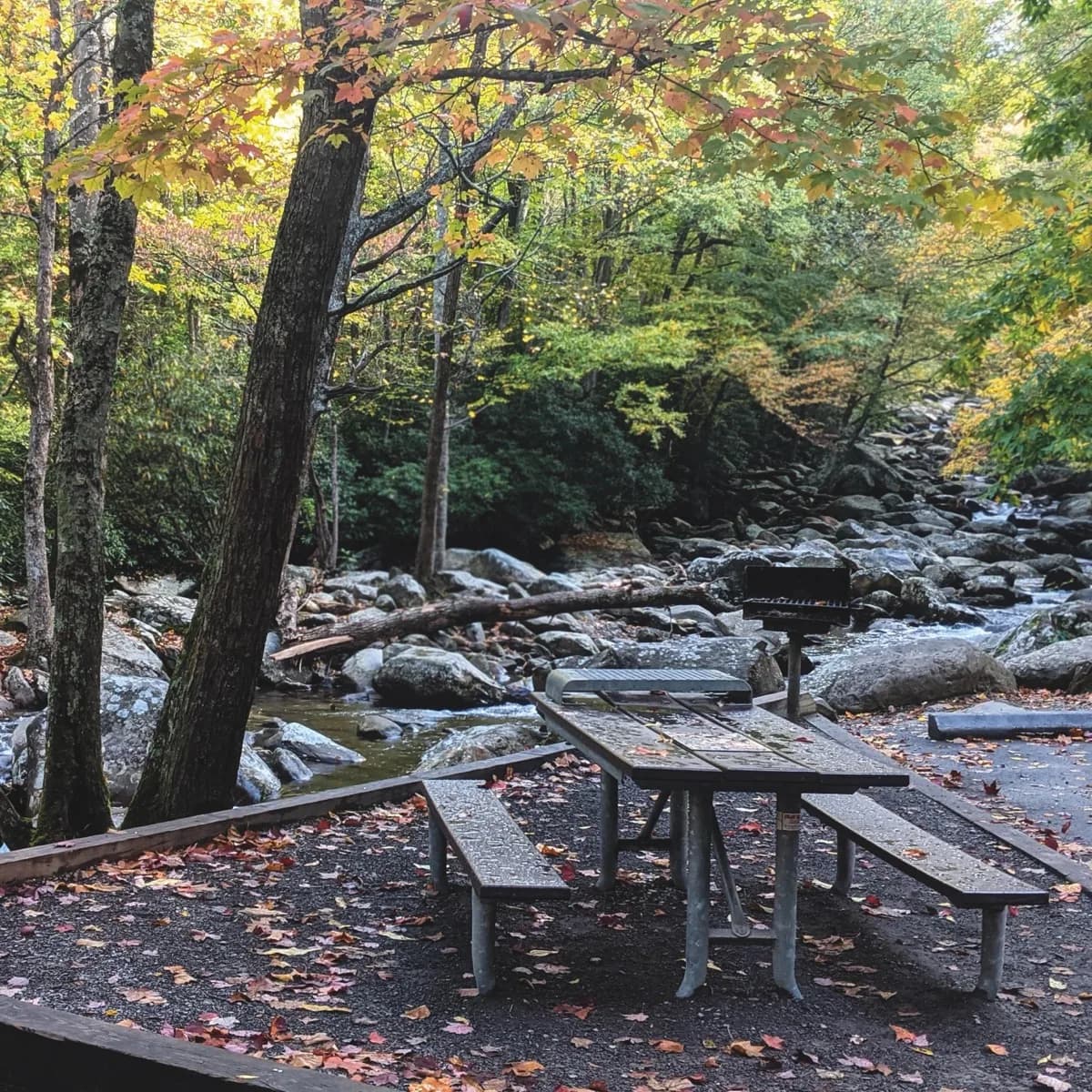 Blue Ridge Parkway - Southern Terminus (Milepost 469) - Scenic spot in Cherokee, Tennessee