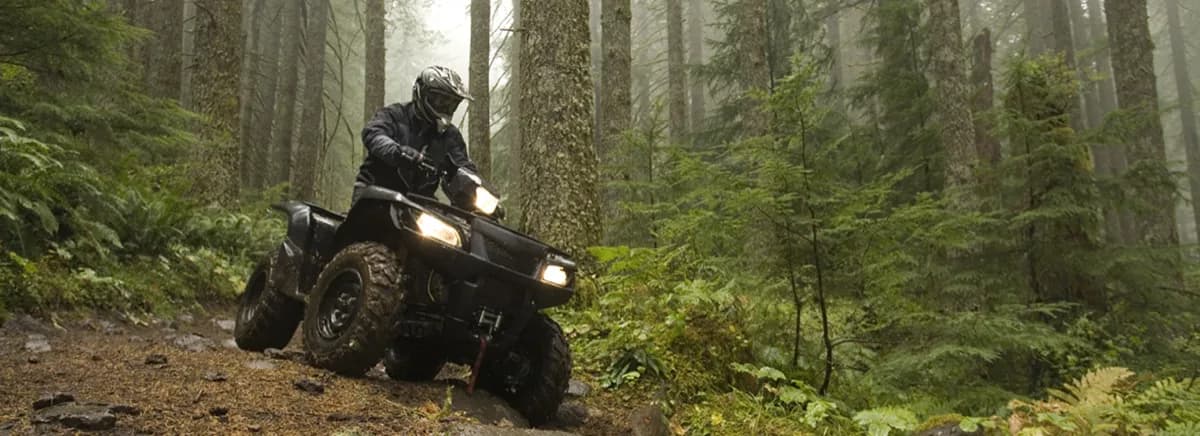 Bluff Mountain Adventures - Tourist attraction in Pigeon Forge, Tennessee