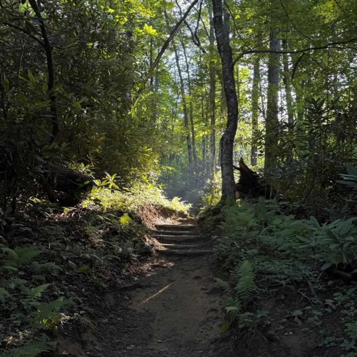 Bullhead Quiet Walkway - Hiking area in Gatlinburg, Tennessee