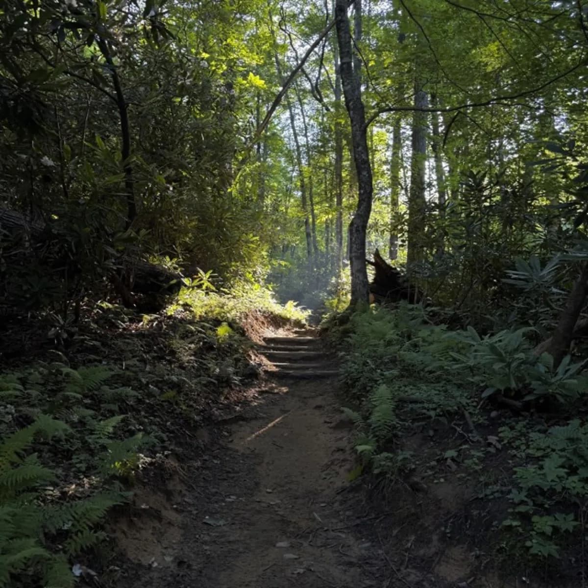 Cane Creek Twin Falls - Tourist attraction in Townsend, Tennessee
