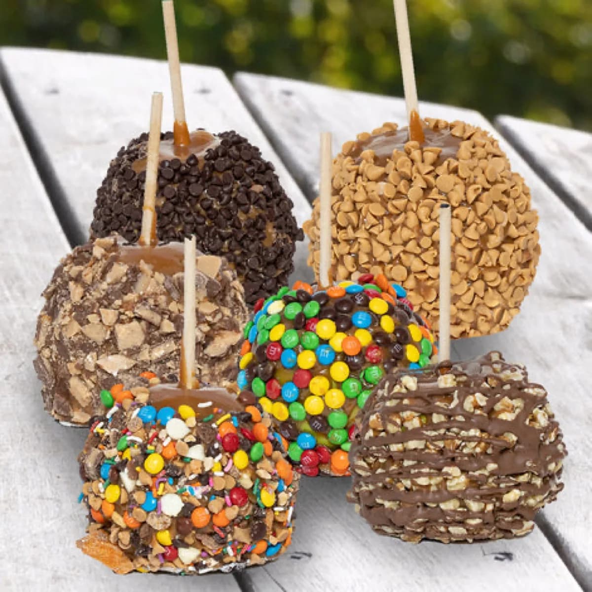 Chocolate Monkey - Attraction in Kodak, Tennessee