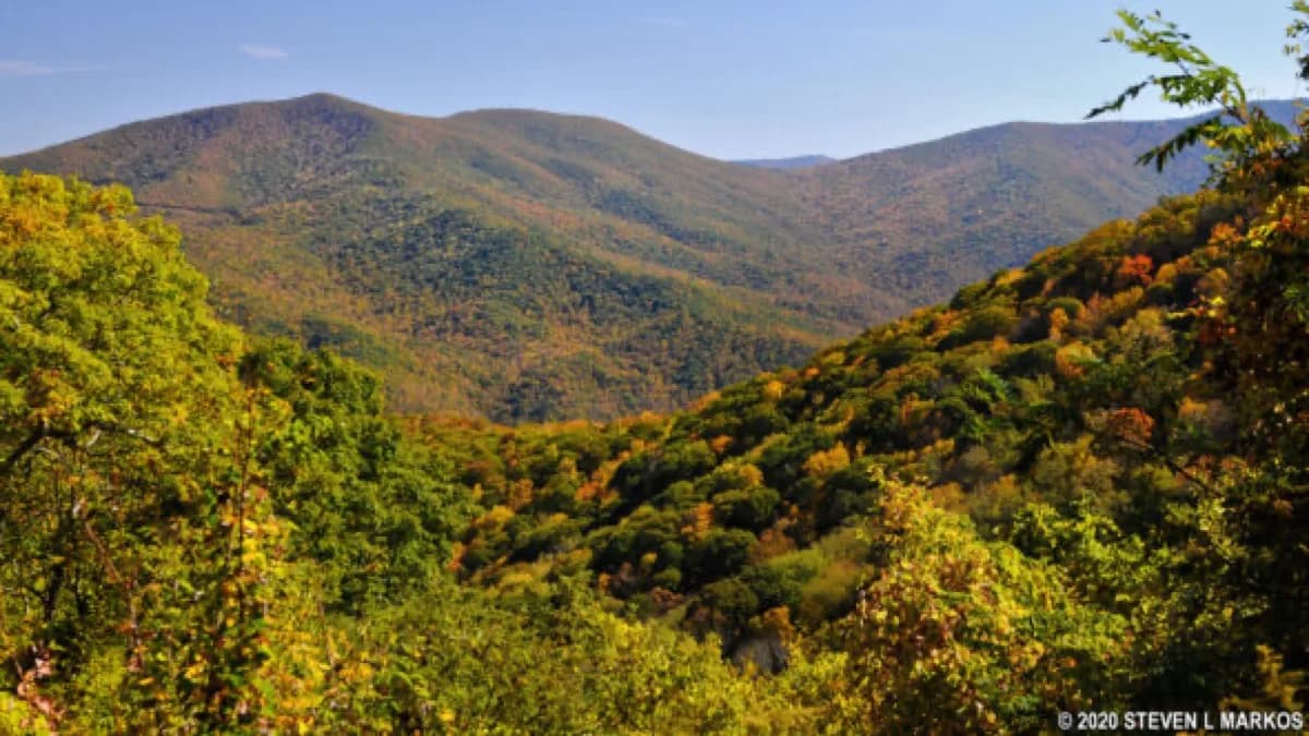 Cove Field Ridge Overlook - Scenic spot in Waynesville, Tennessee