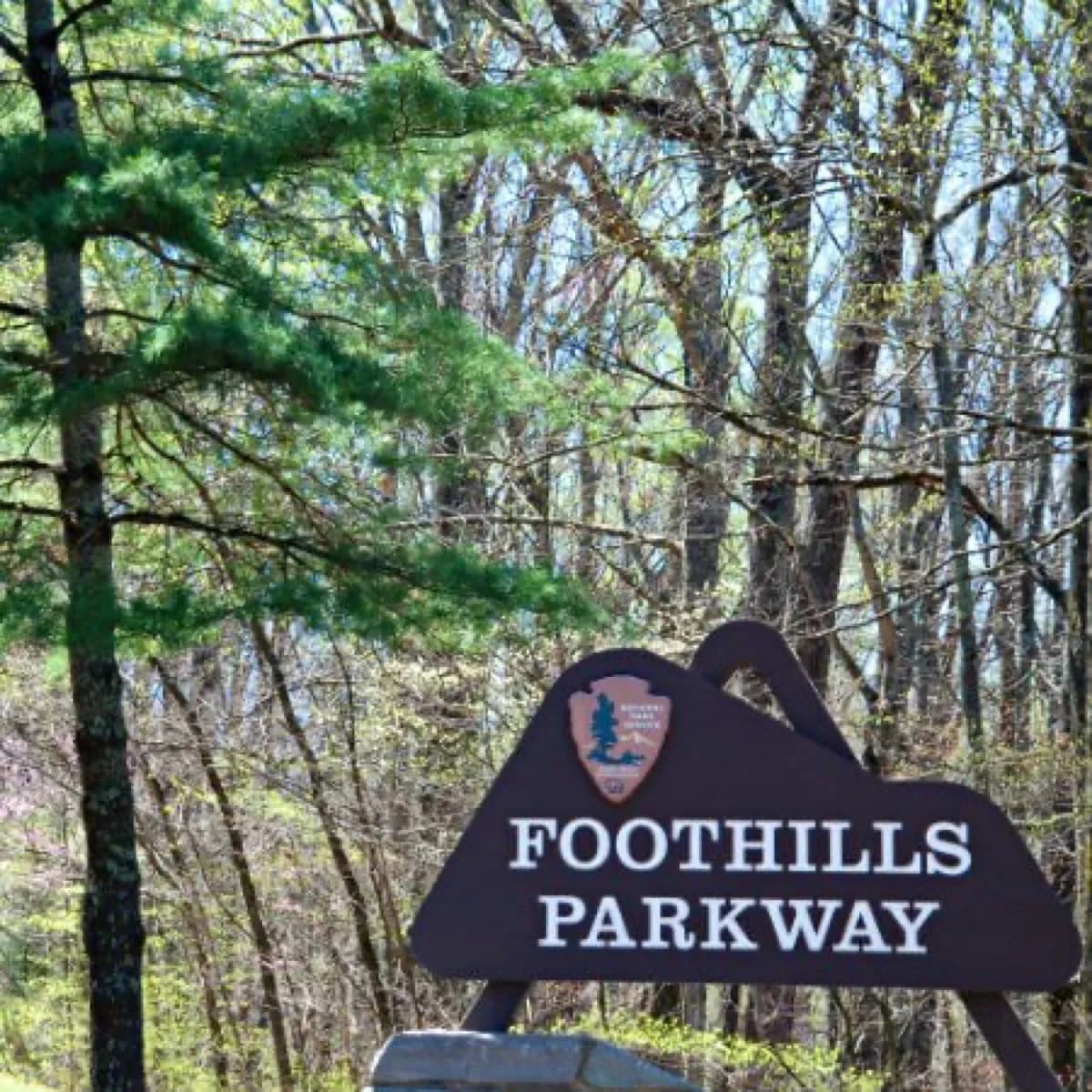 Creekwalk Inn Bed and Breakfast at Whisperwood Farm - Bed & breakfast in Cosby, Tennessee