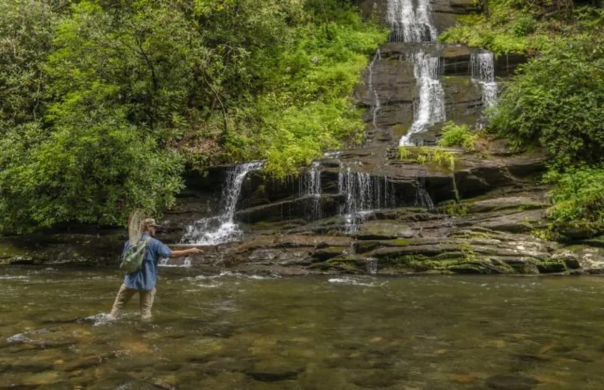 Deep Creek Trail Trailhead - Hiking area in Bryson City, Tennessee
