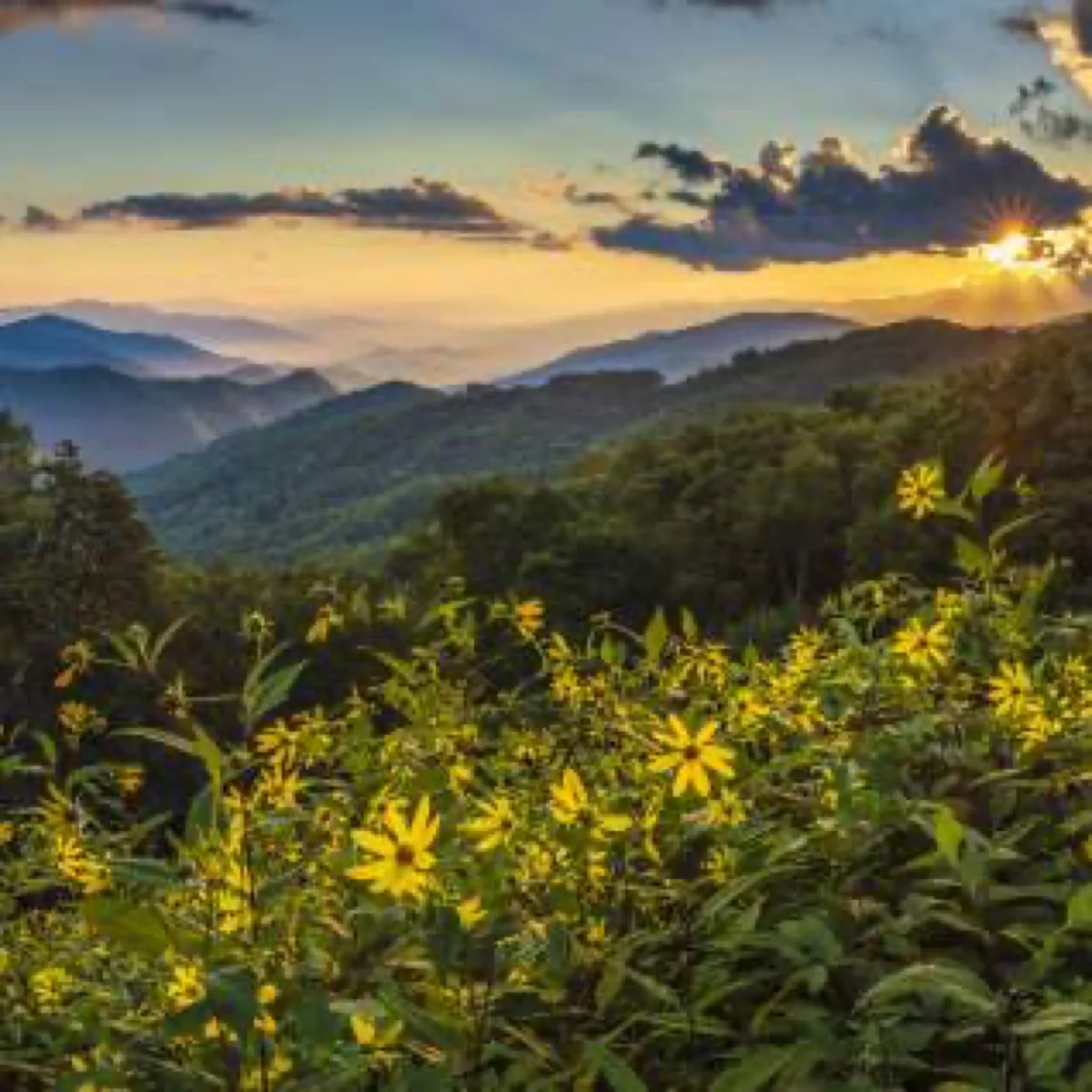 Judaculla Rock - Historical place in Cullowhee, Tennessee