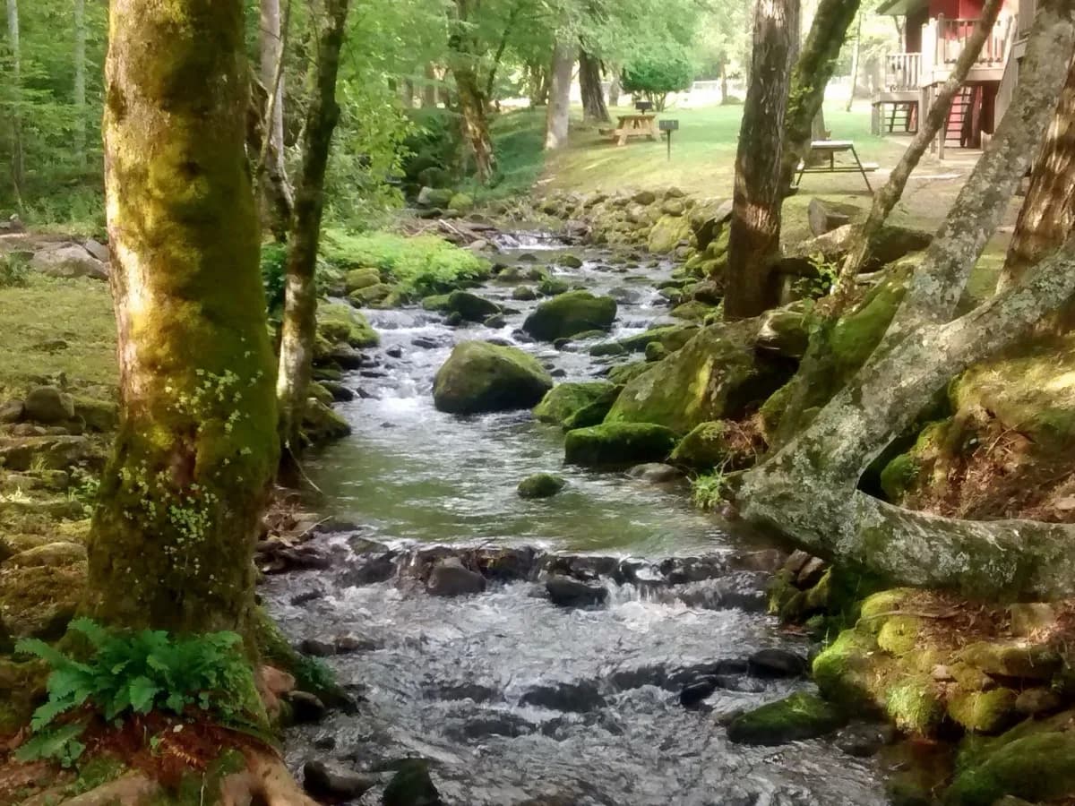 Laurel Springs Resort - Resort hotel in Cosby, Tennessee