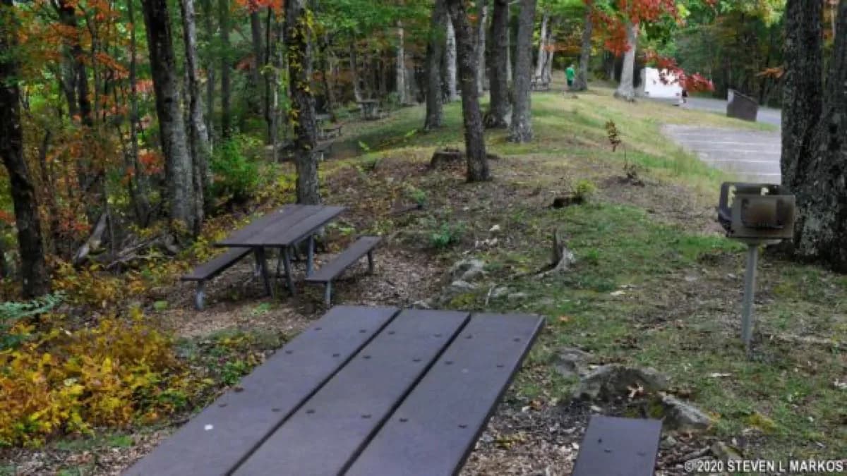 Look Rock Picnic Area - Attraction in Maryville, Tennessee