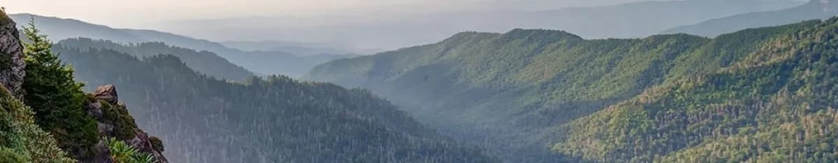 Lumber Ridge Trail Trailhead - Hiking area in Townsend, Tennessee