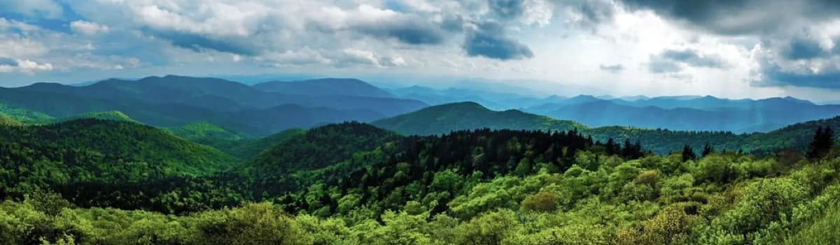 Richland Balsam Trail - Hiking area in Waynesville, Tennessee