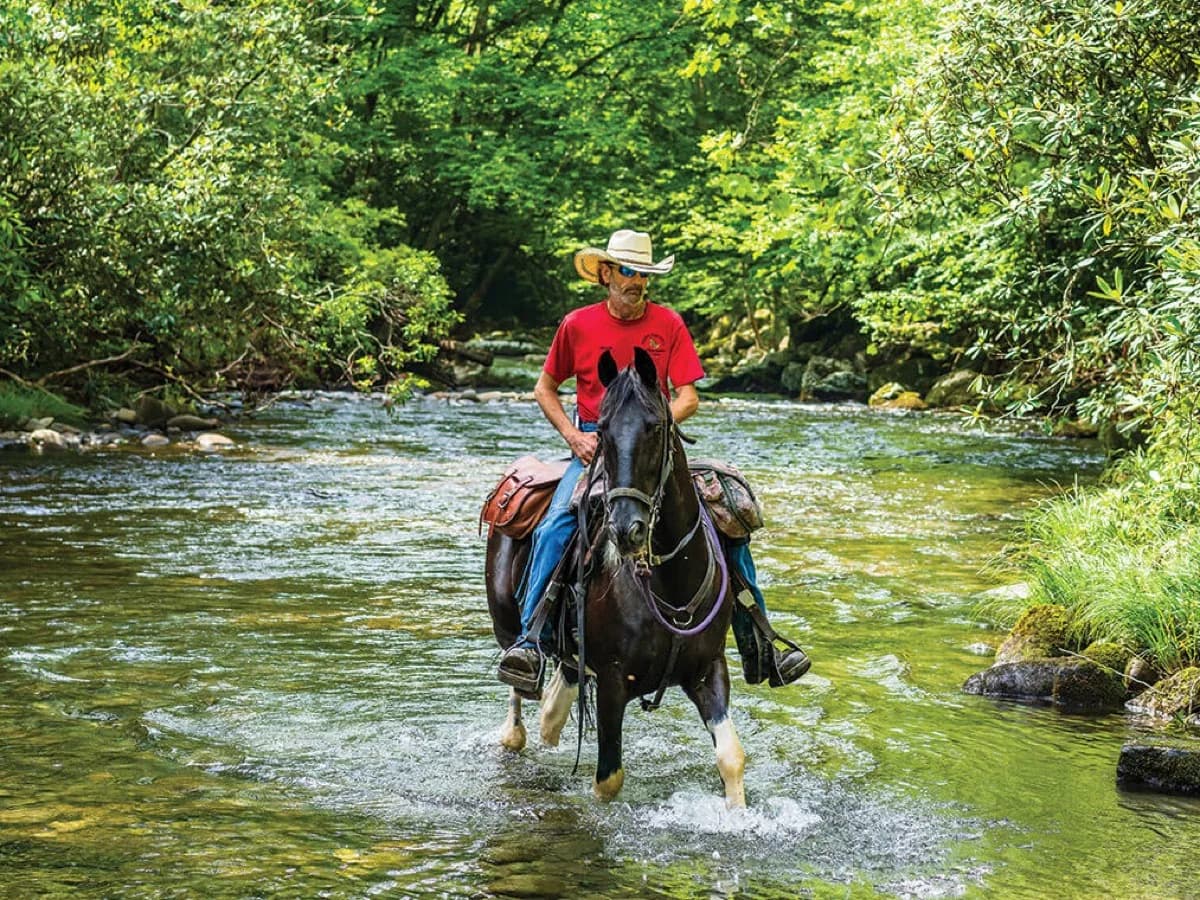 Smokemont Riding Stables - Horse riding in Cherokee, Tennessee