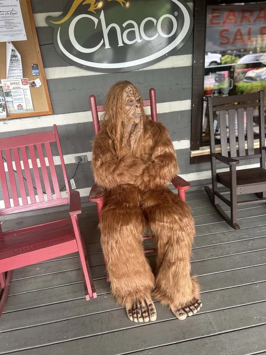 Smoky Mountain Sasquatch - Attraction in Townsend, Tennessee