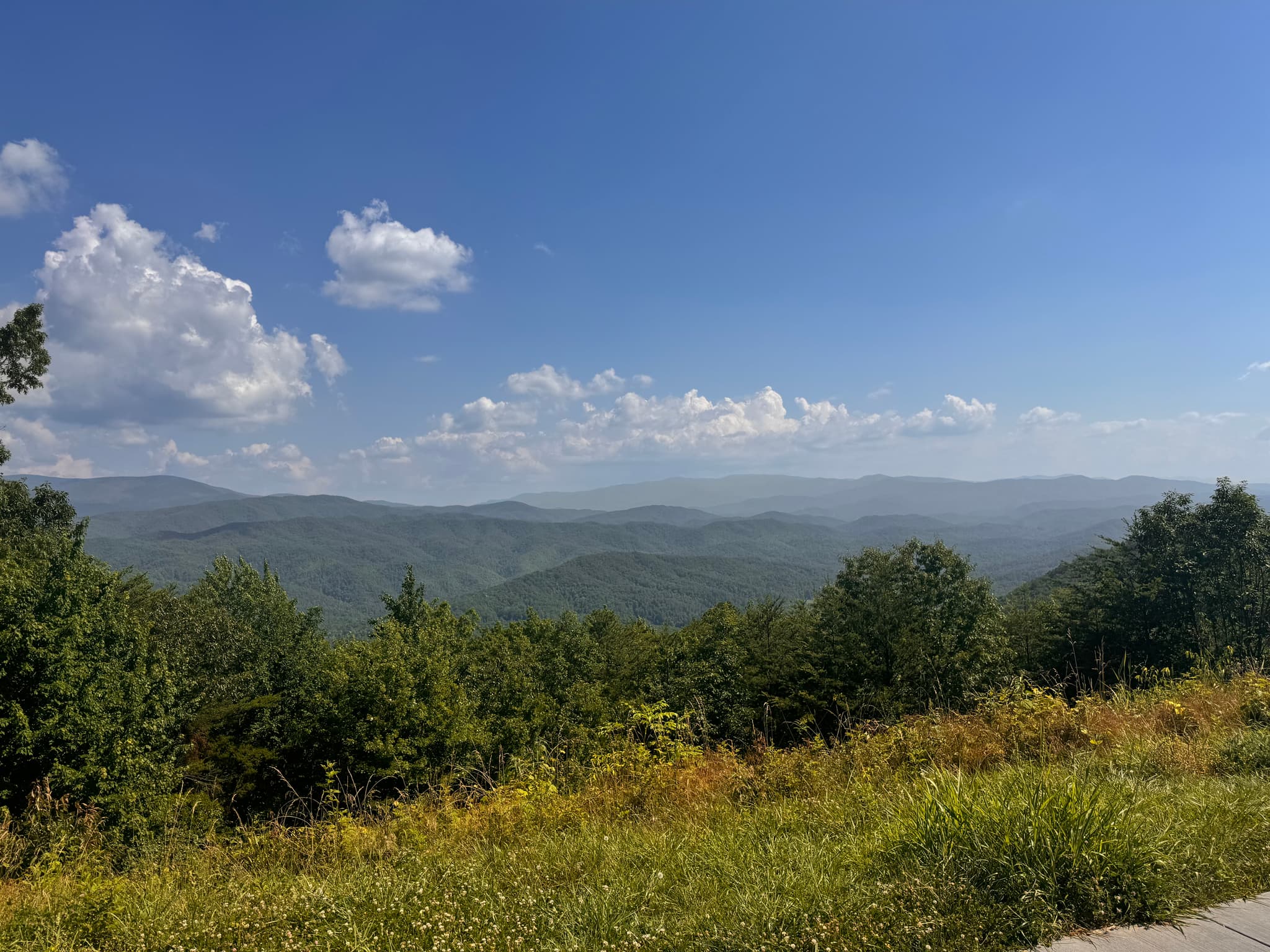 Foothills Parkway West Overlook #10 in Tallassee
