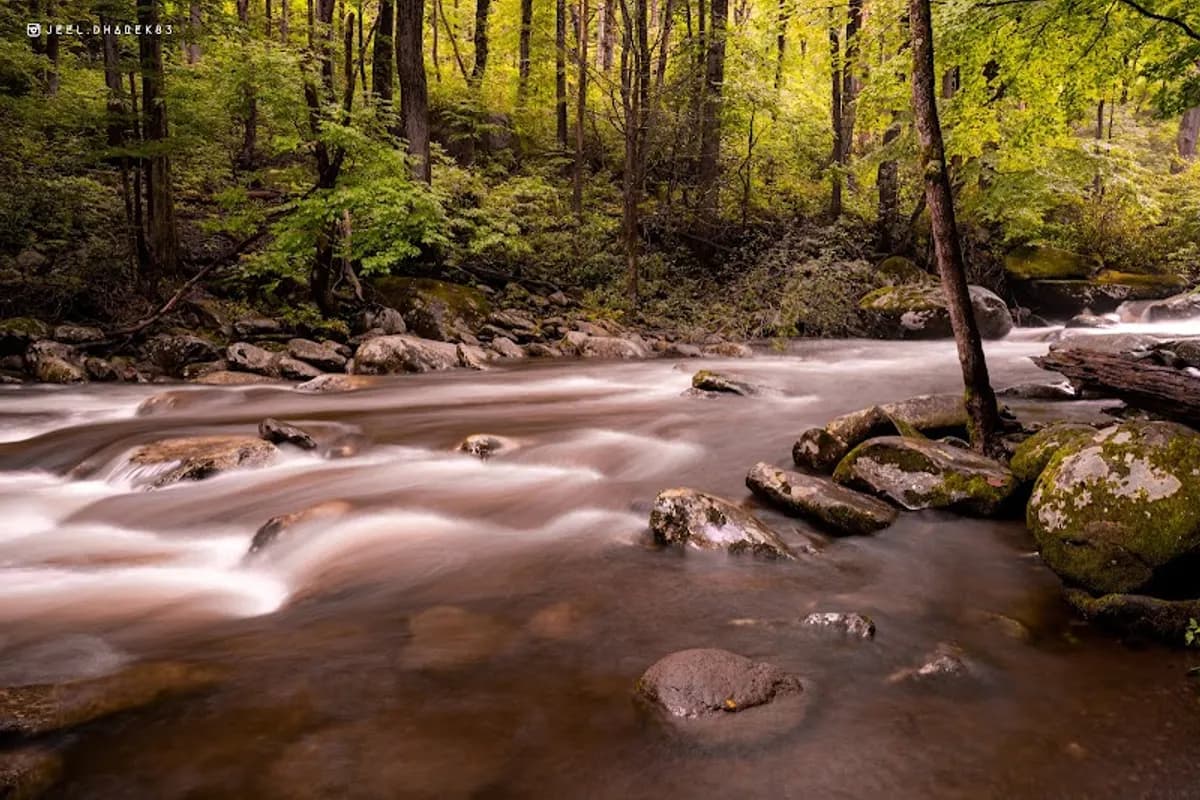 Balsam Point Quiet Walkway Trailhead - Hiking area in Gatlinburg, Tennessee