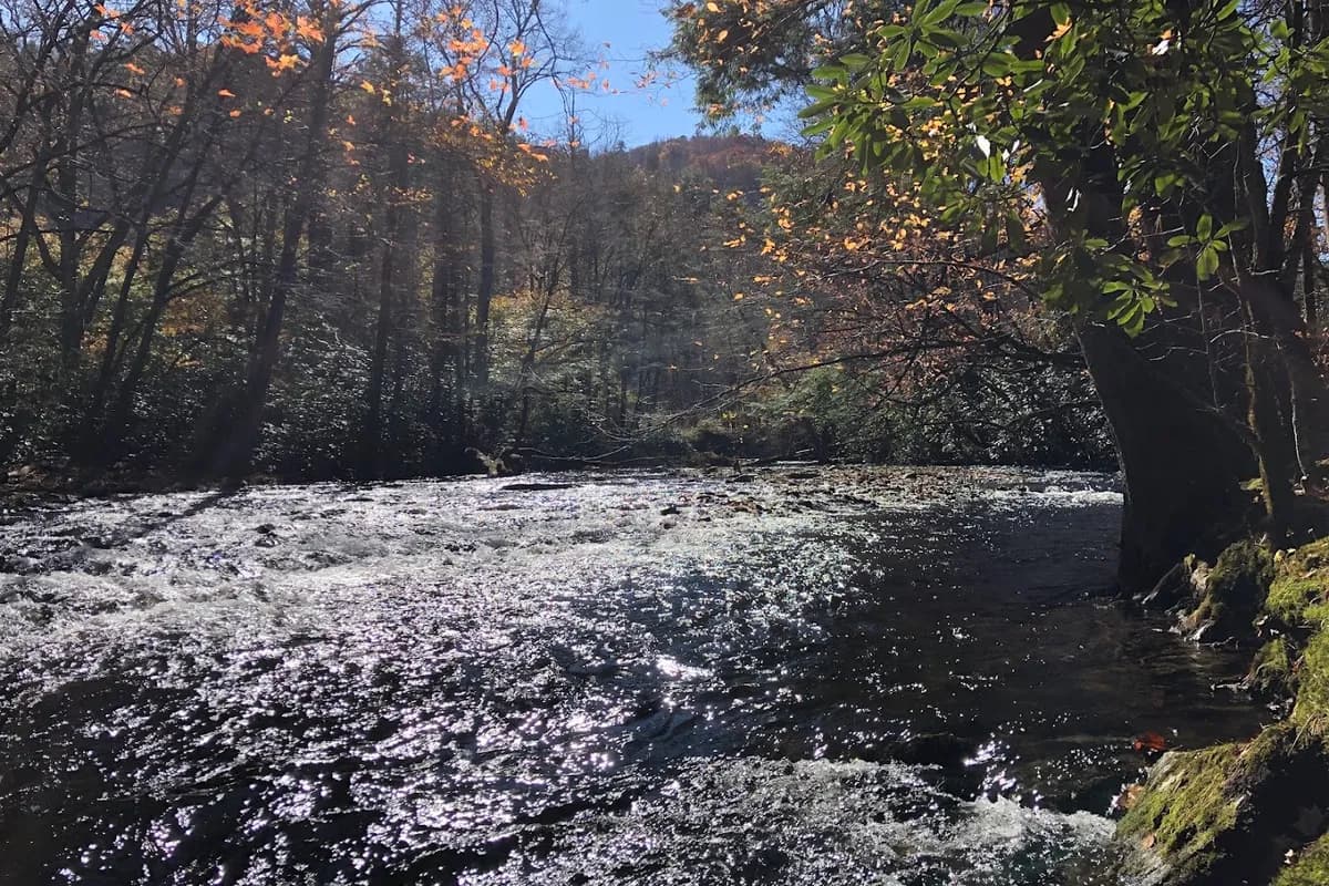 Cataloochee Valley - Tourist attraction in Waynesville, Tennessee