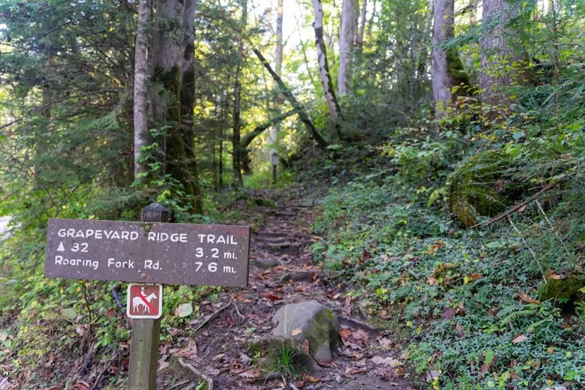 Grapeyard Ridge Trailhead - Hiking area in Gatlinburg, Tennessee