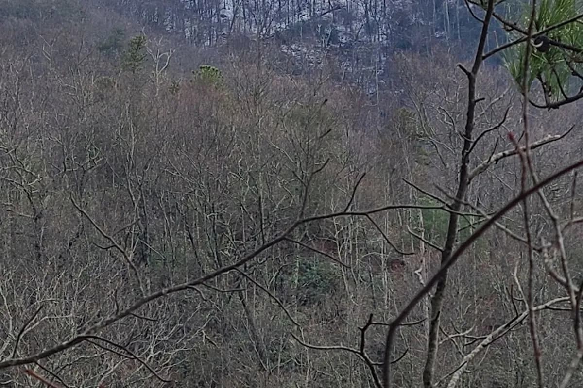Little Greenbrier and Roundtop Trailhead - Hiking area in Sevierville, Tennessee