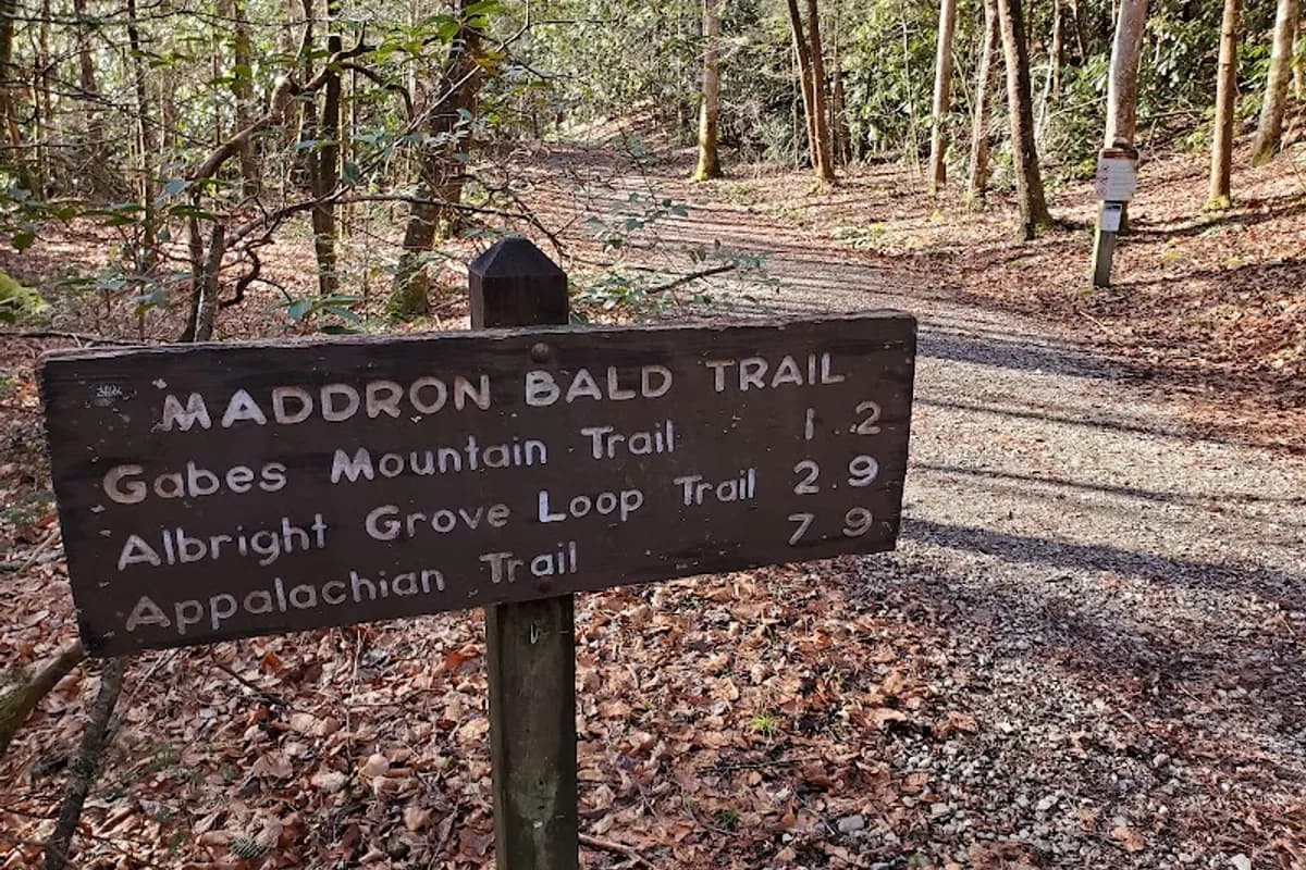 Maddron Bald Trailhead, Cosby, TN - Hiking area in Cosby, Tennessee