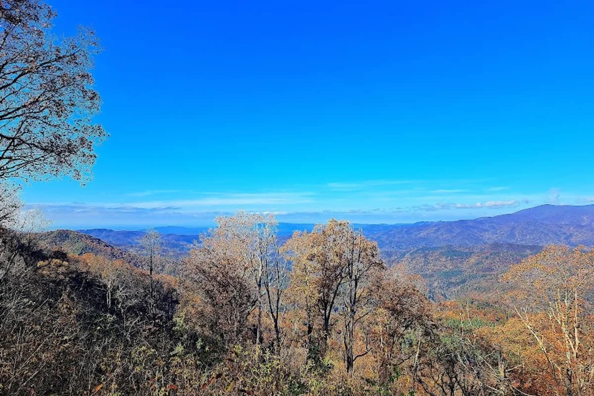 Maple Springs Observation Deck, Nantahala National Forest, Cheoah Ranger District - Attraction in Robbinsville, Tennessee