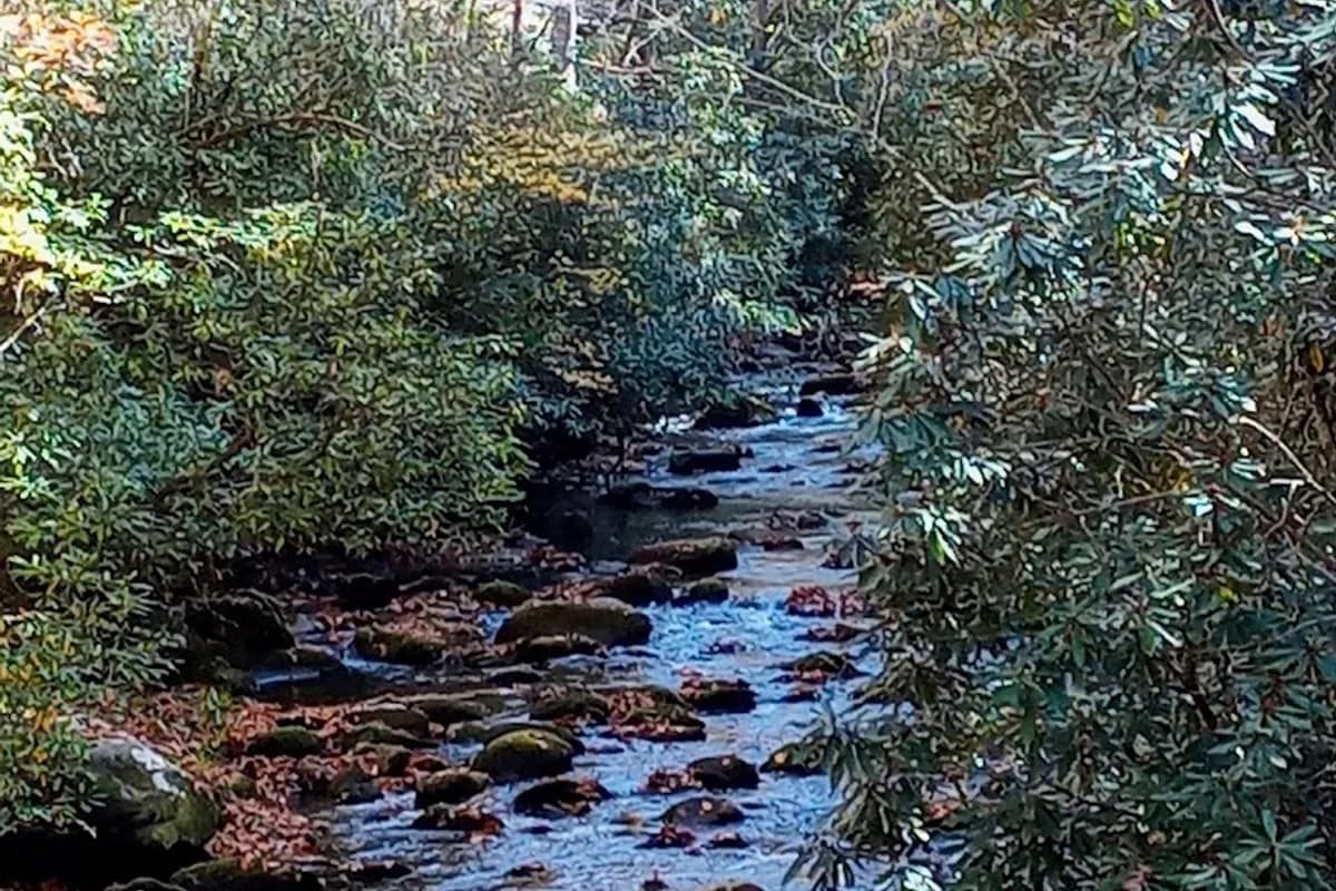 Noland Creek Trailhead - Hiking area in Bryson City, Tennessee