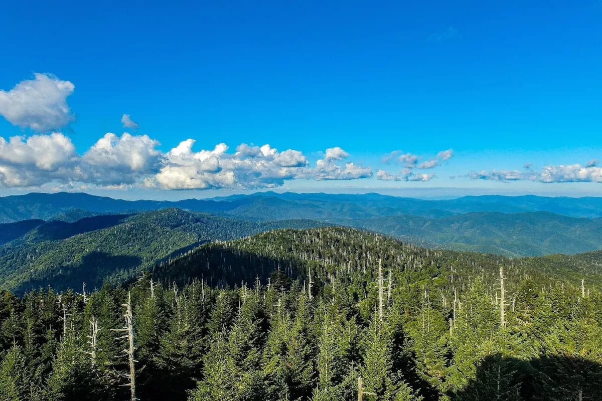 Noland Divide Trail Trailhead - Hiking area in Bryson City, Tennessee