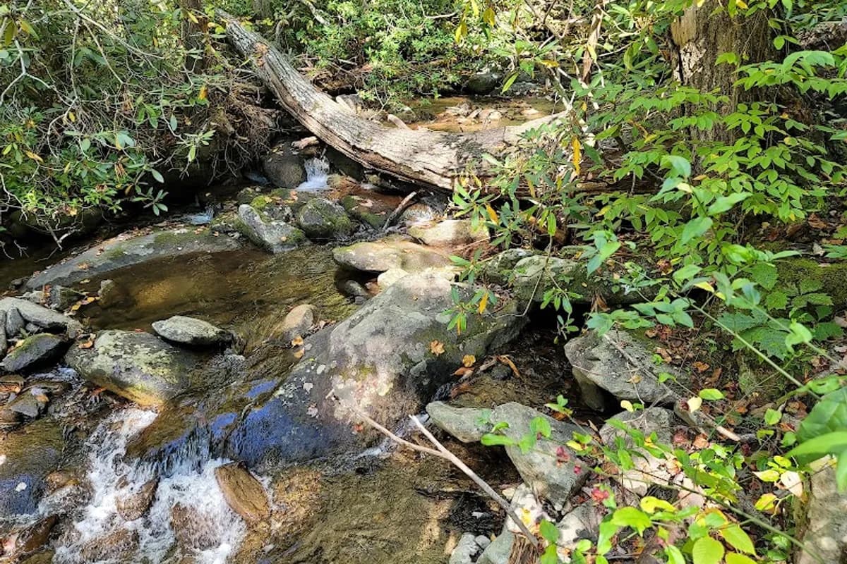 Quiet Walkway - Hiking area in Sevierville, Tennessee