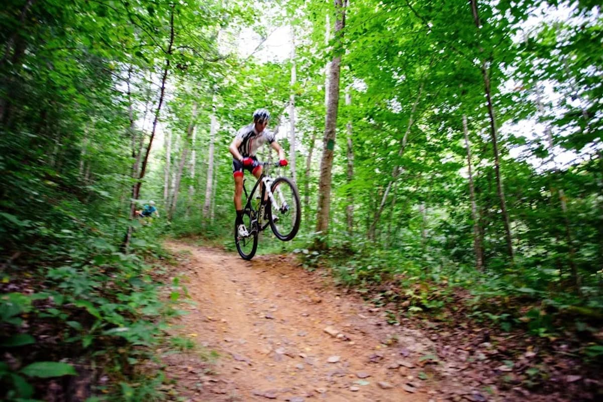 WCU Hiking & Mountain Biking Trailhead - Hiking area in Cullowhee, Tennessee