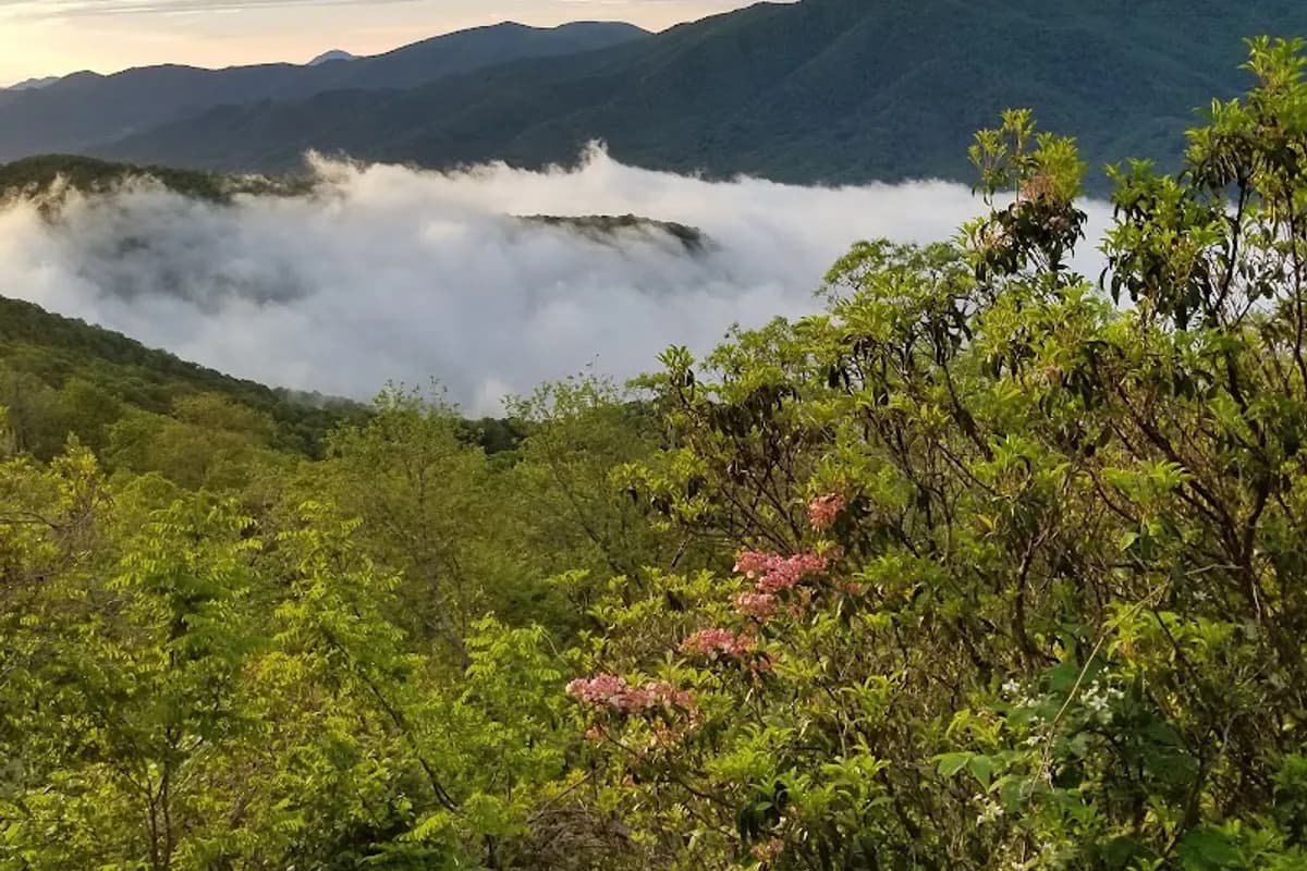 Wesner Bald Overlook - Scenic spot in Sylva, Tennessee