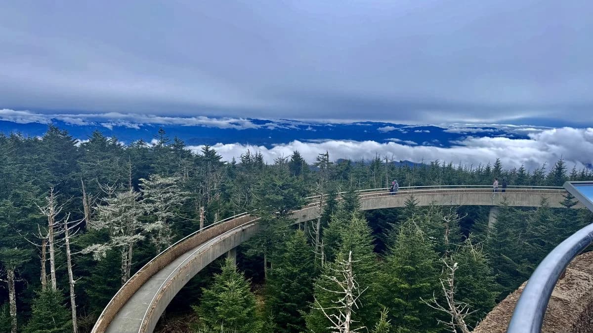 Kuwohi observation tower and curved ramp in Great Smoky Mountains National Park