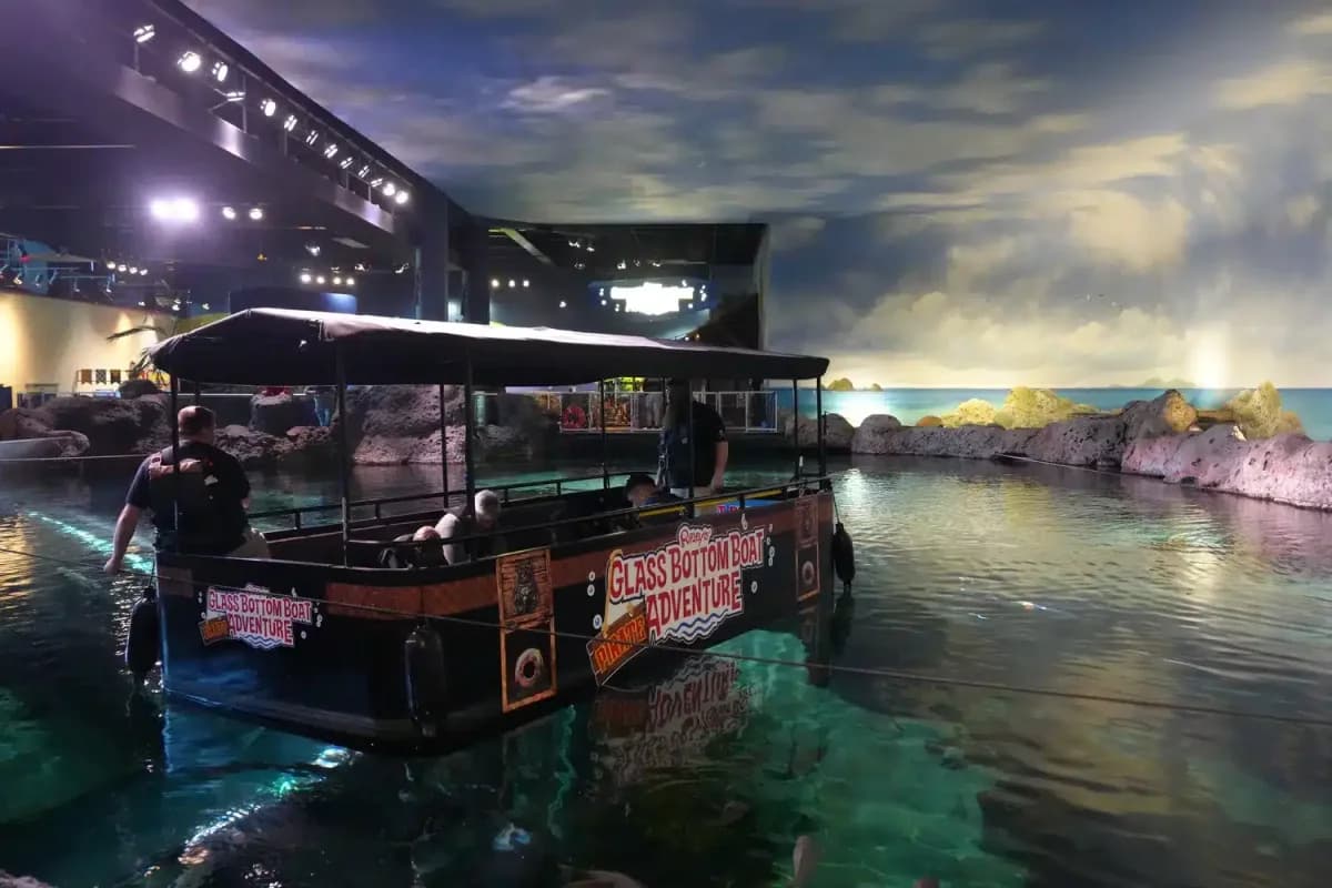 Ripley s Aquarium In Gatlinburg: Our Honest Opinion