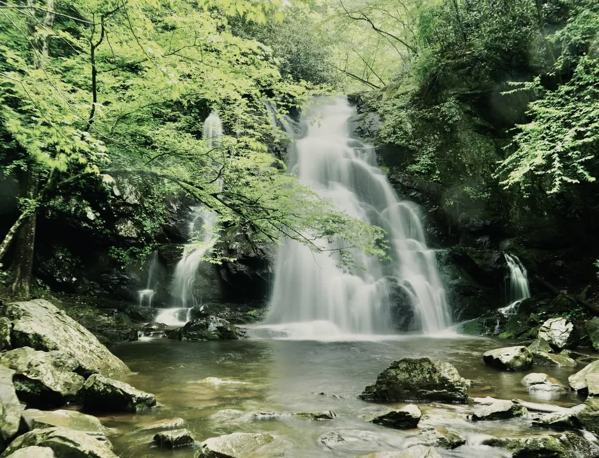 Spruce Flat Falls: A Short (But Challenging) Smoky Mountain Waterfall Hike