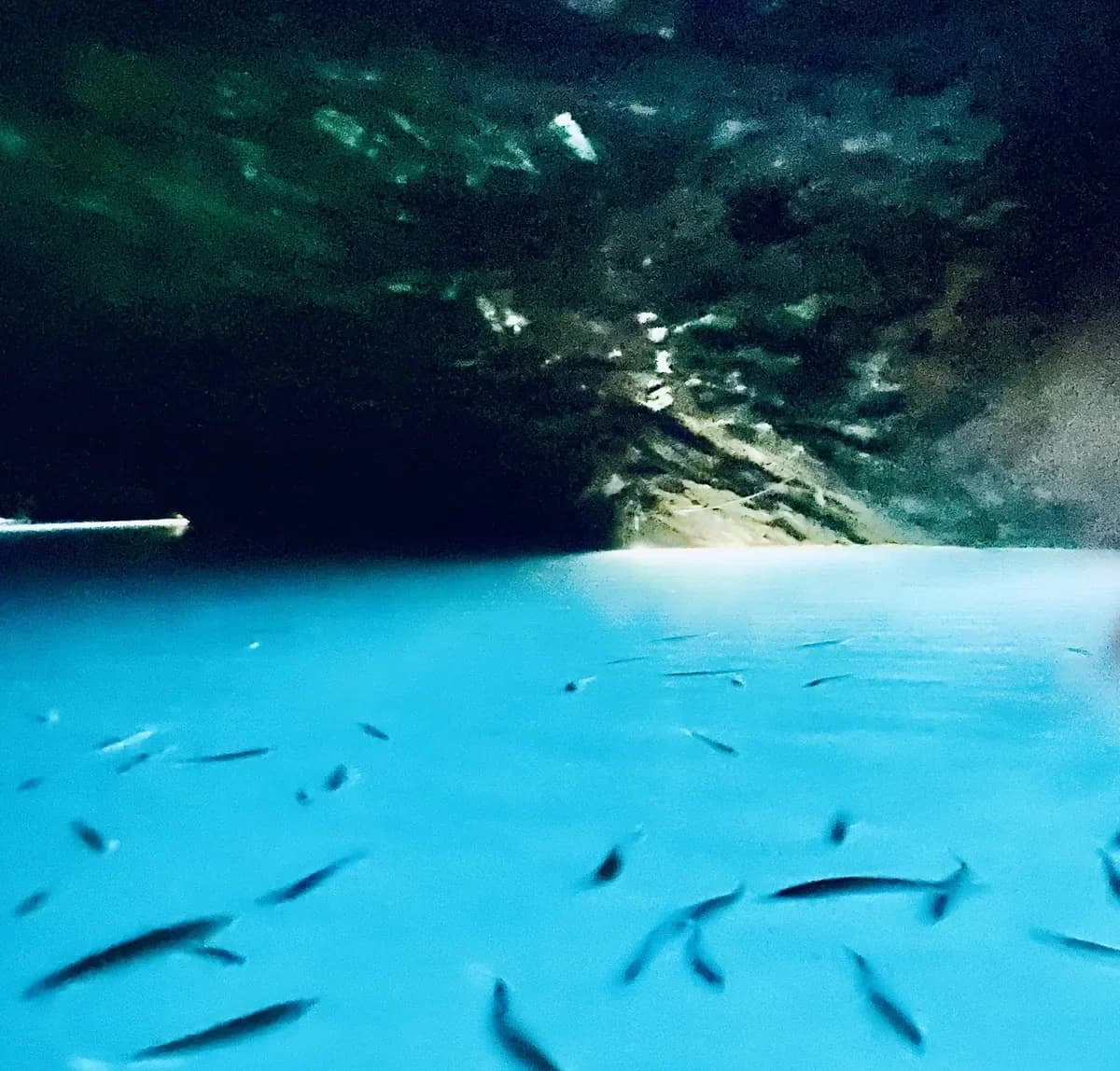 The Largest Underground Lake in America is Hidden Just Outside The Smoky Mountains