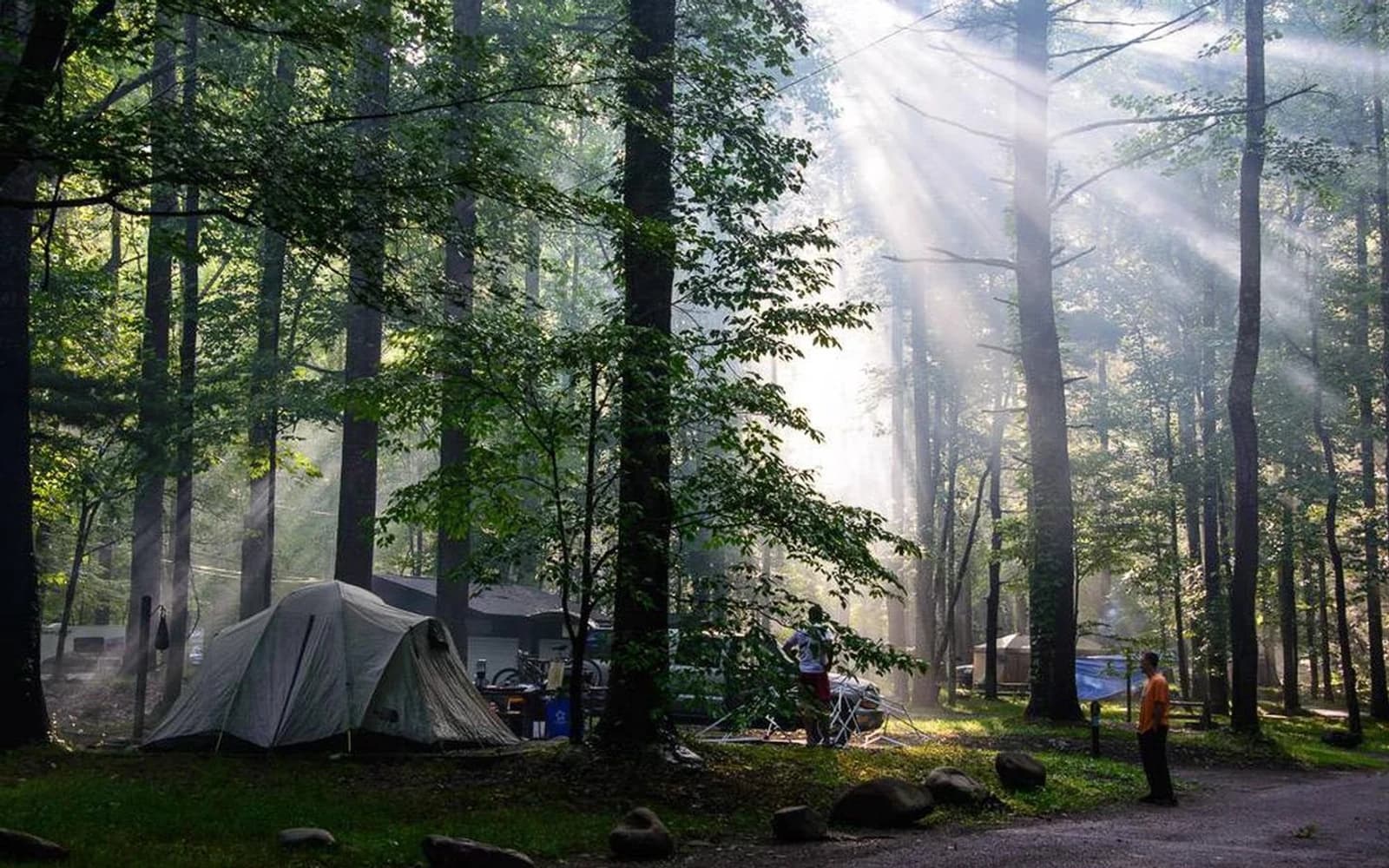 A present-day campsite beneath the trees at Elkmont Campground in Great Smoky Mountains National Park