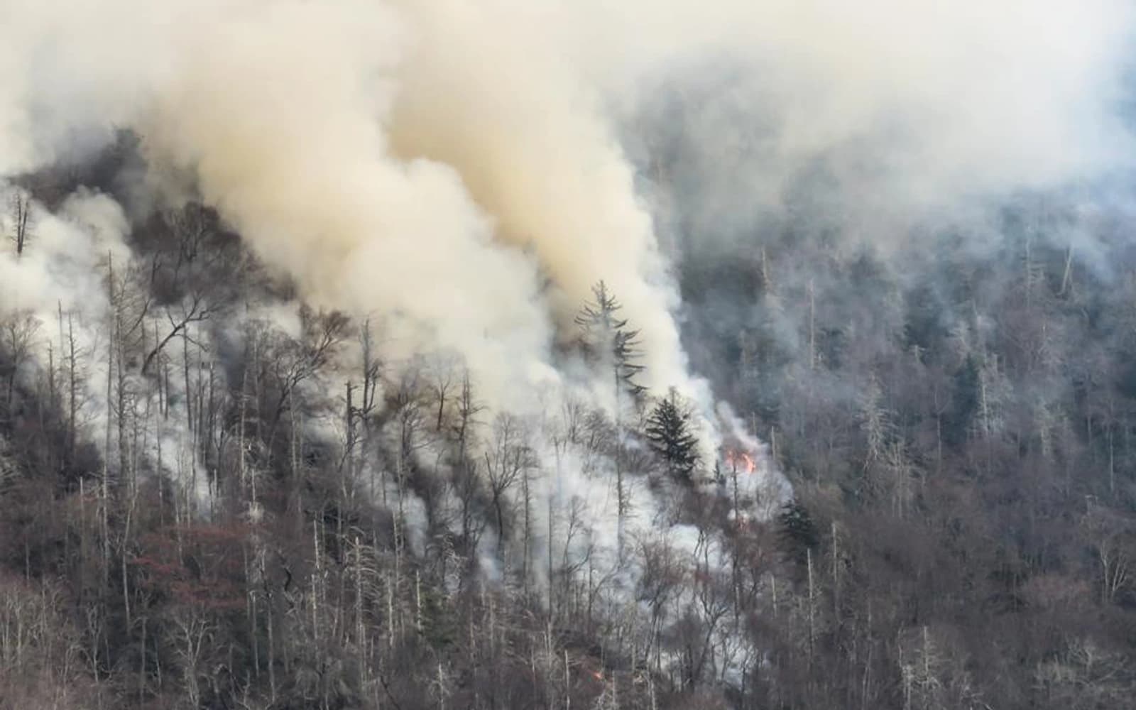 Smoke rising from the Chimney Tops 2 Fire in Great Smoky Mountains National Park on November 27, 2016