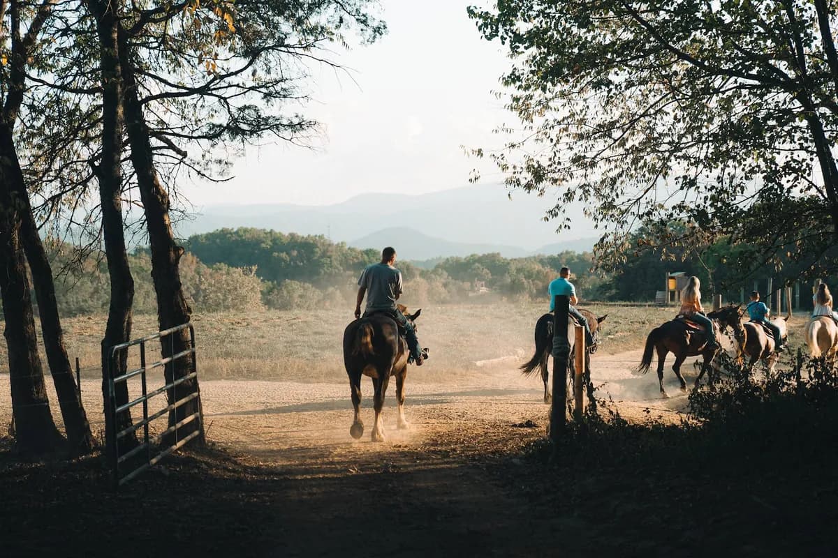 Jayell Ranch Family Adventure Park | Sevierville Horseback riding service